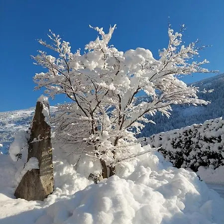 アパート Dahuam *